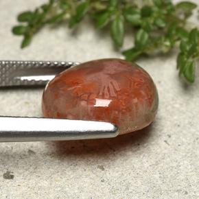 7.61カラットの天然マルチカラーサンゴ（14.3×13.2 mm・ファンシーシェイプ）