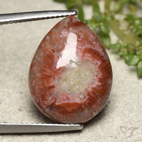 11.90ct 天然 マルチカラー サンゴ, 洋梨の形, オペーク, Photo A
