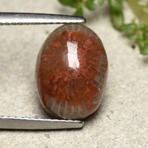 4.83カラットの天然マルチカラーサンゴ、オーバルカット、オペーク