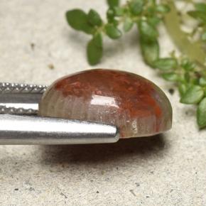 4.83カラットの天然マルチカラーサンゴ、オーバルカット、オペーク