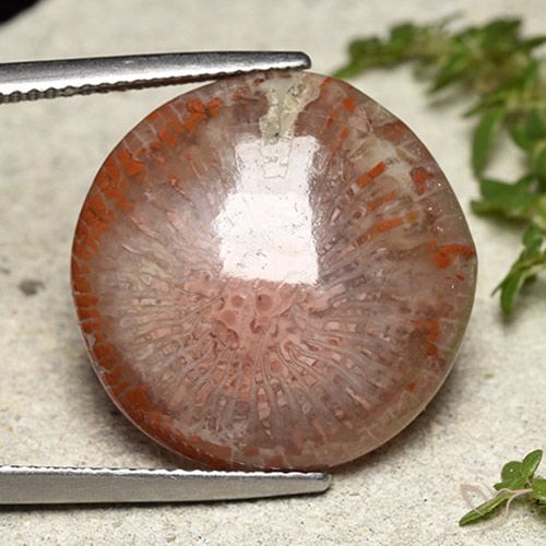 14.05ct 天然 マルチカラー サンゴ, ラウンド, 半透明