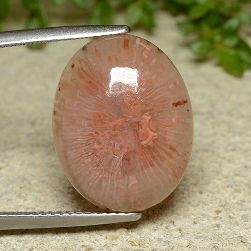 10.65カラットの天然マルチカラーサンゴ、オーバルカット、半透明