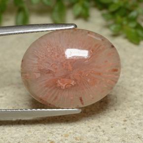 10.65カラットの天然マルチカラーサンゴ、オーバルカット、半透明