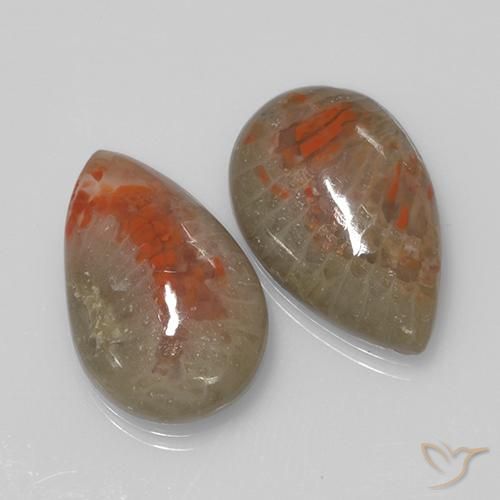 Shop natural 9.70ct マルチカラー サンゴ gems, 洋梨の形, from インドネシア at GemSelect. In stock, global shipping!