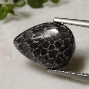 2.93カラットの天然マルチカラーサンゴ（13×9.7 mm・洋梨の形）