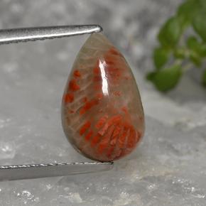 2.84カラットの天然マルチカラーサンゴ（12.5×8 mm・洋梨の形）