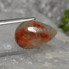 2.84カラットの天然マルチカラーサンゴ（12.5×8 mm・洋梨の形）