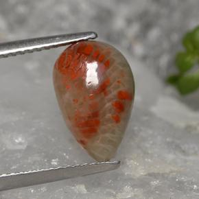 2.84カラットの天然マルチカラーサンゴ（12.5×8 mm・洋梨の形）