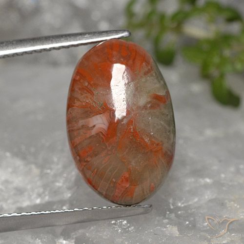 5.96ct 天然 マルチカラー サンゴ, 楕円形, オペーク