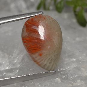 3.19カラットの天然マルチカラーサンゴ（13.3×9.3 mm・洋梨の形）