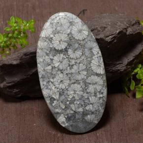 43.97カラットの天然マルチカラーサンゴ（45.6×25.8 mm・オーバルカット）