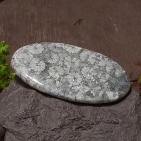 43.97カラットの天然マルチカラーサンゴ（45.6×25.8 mm・オーバルカット）