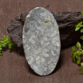 43.97カラットの天然マルチカラーサンゴ（45.6×25.8 mm・オーバルカット）
