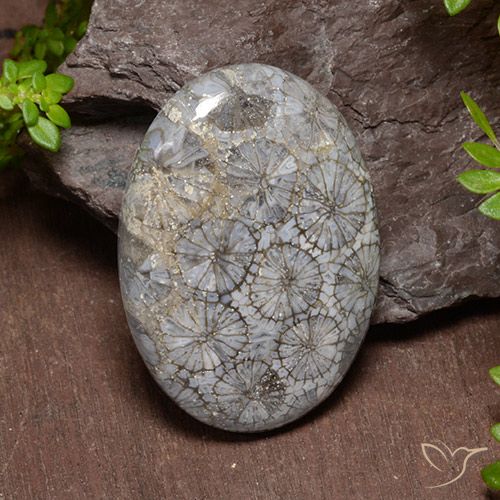 43.74ct 天然 マルチカラー サンゴ, 楕円形, オペーク