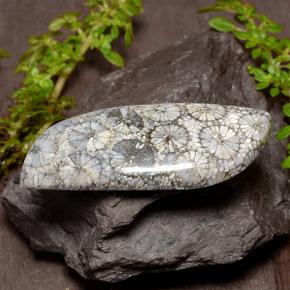 26.84カラットの天然マルチカラーサンゴ、ファンシーシェイプ、オペーク