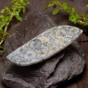 26.84カラットの天然マルチカラーサンゴ、ファンシーシェイプ、オペーク