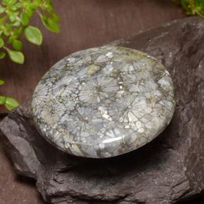 42.64カラットの天然マルチカラーサンゴ、ラウンドカット、オペーク