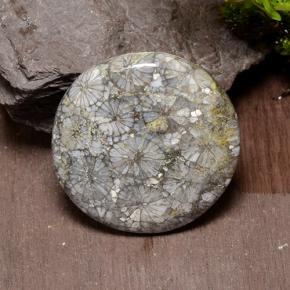 42.64カラットの天然マルチカラーサンゴ、ラウンドカット、オペーク