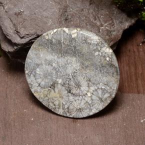 42.64カラットの天然マルチカラーサンゴ、ラウンドカット、オペーク