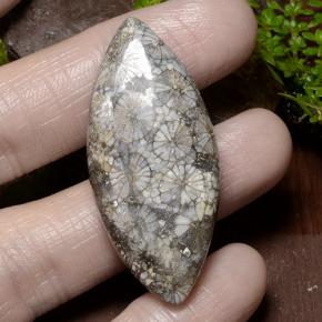 36.99カラットの天然マルチカラーサンゴ、マーキーズ、オペーク