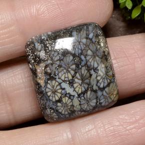 23.19カラットの天然マルチカラーサンゴ、クッションカット、オペーク