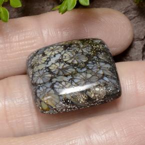 23.19カラットの天然マルチカラーサンゴ、クッションカット、オペーク