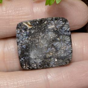 23.19カラットの天然マルチカラーサンゴ、クッションカット、オペーク