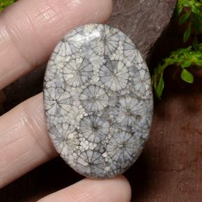 34.23カラットの天然マルチカラーサンゴ、オーバルカット、オペーク