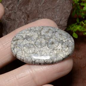 34.23カラットの天然マルチカラーサンゴ、オーバルカット、オペーク