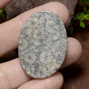 34.23カラットの天然マルチカラーサンゴ、オーバルカット、オペーク