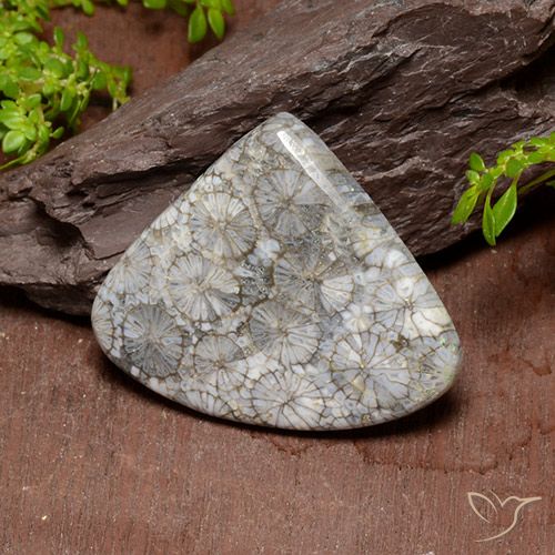 39.63ct 天然 マルチカラー サンゴ, 洋梨の形, オペーク