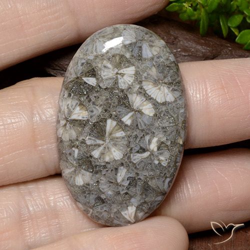 42.02ct 天然 マルチカラー サンゴ, 楕円形, オペーク
