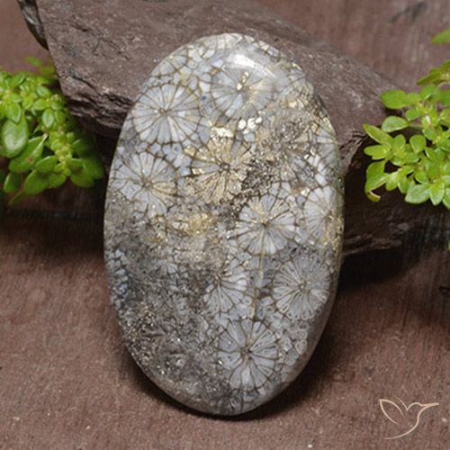 46.22ct 天然 マルチカラー サンゴ, 楕円形, オペーク, Photo A