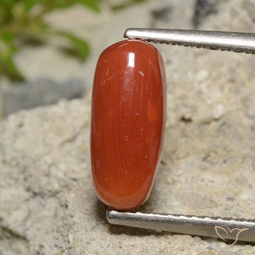 2.09ct 天然 オレンジレッド サンゴ, 楕円形, オペーク