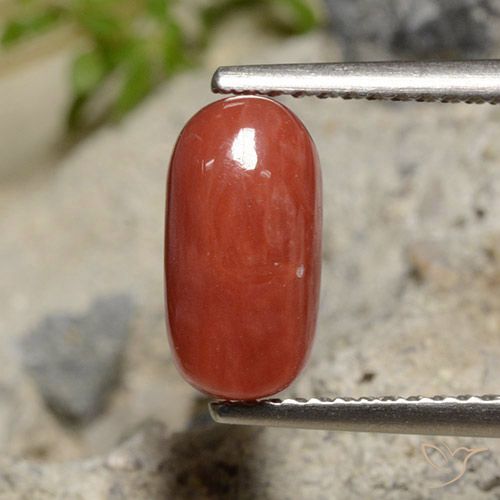 2.04ct 天然 オレンジレッド サンゴ, 楕円形, オペーク, Photo A