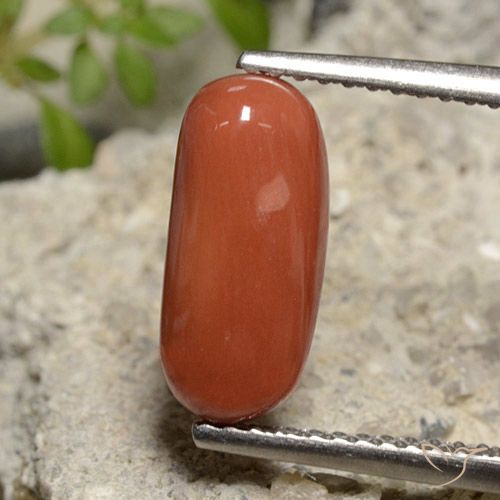 2.39ct 天然 オレンジレッド サンゴ, 楕円形, オペーク