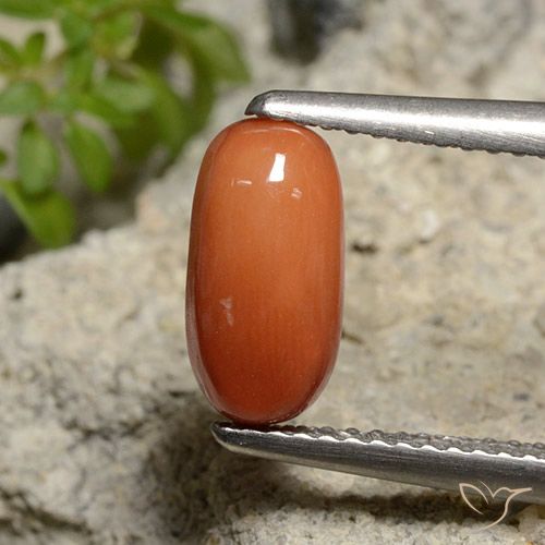 1.81ct 天然 ミディアムオレンジ サンゴ, 楕円形, オペーク, Photo A