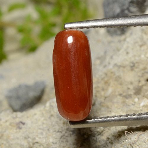1.81ct 天然 ファイアレッド サンゴ, 楕円形, オペーク