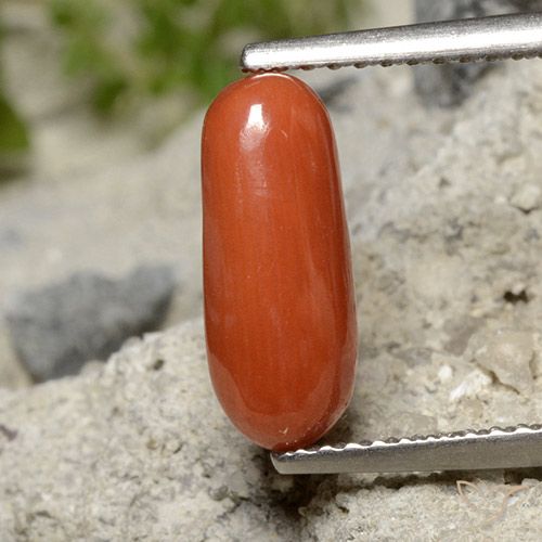 1.91ct 天然 ミディアムレッド サンゴ, 楕円形, オペーク