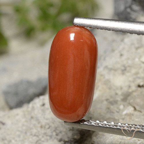 2.01ct 天然 オレンジレッド サンゴ, 楕円形, オペーク