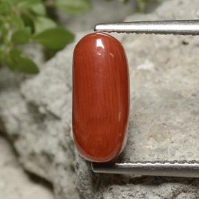 2.55カラットの天然ミディアムレッドサンゴ（11.8×5.3 mm・オーバルカット）