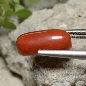 2.55カラットの天然ミディアムレッドサンゴ（11.8×5.3 mm・オーバルカット）
