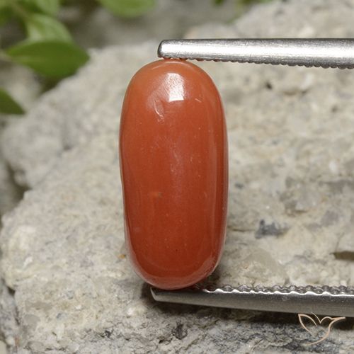 2.26ct 天然 ファイアオレンジ サンゴ, 楕円形, オペーク