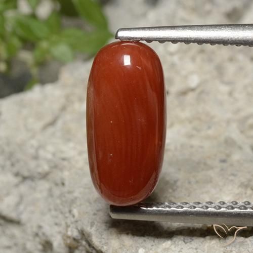 1.95ct 天然 ファイアーレッドトーン サンゴ, 楕円形, オペーク