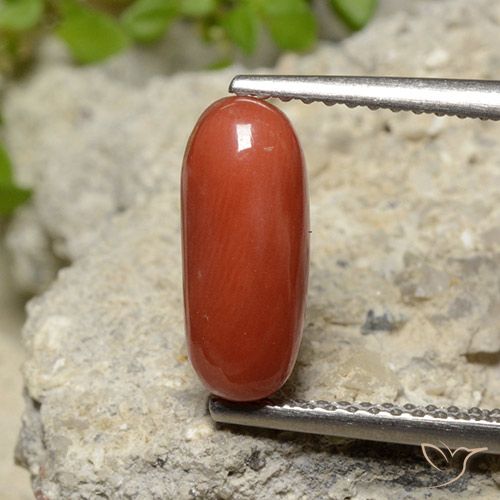 2.10ct 天然 ミディアムオレンジ サンゴ, 楕円形, オペーク, Photo A