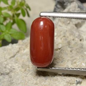 2.51カラットの天然ファイアレッドサンゴ（10.9×5.3 mm・オーバルカット）