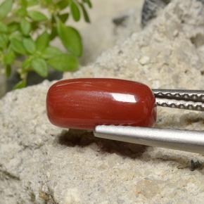2.51カラットの天然ファイアレッドサンゴ（10.9×5.3 mm・オーバルカット）