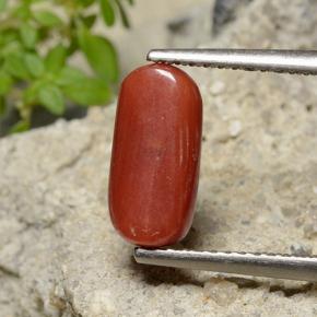 2.51カラットの天然ファイアレッドサンゴ（10.9×5.3 mm・オーバルカット）