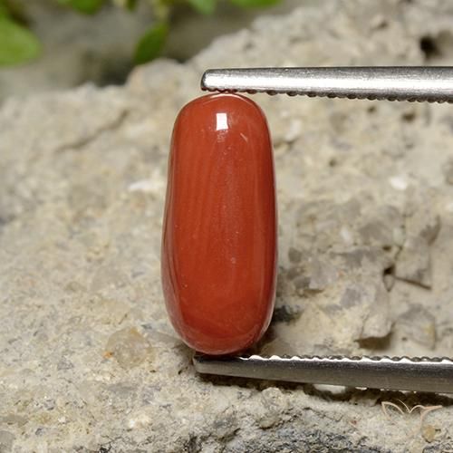1.79ct 天然 オレンジレッド サンゴ, 楕円形, オペーク