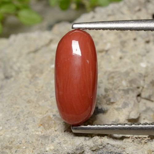 2.04ct 天然 ミディアムレッド サンゴ, 楕円形, オペーク
